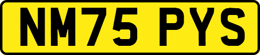 NM75PYS