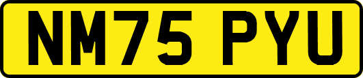 NM75PYU