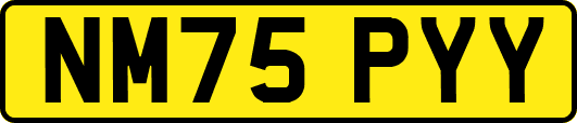 NM75PYY