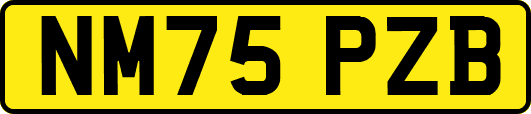 NM75PZB