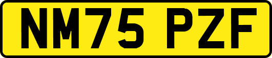 NM75PZF