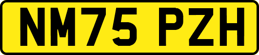 NM75PZH