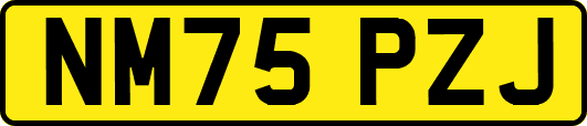 NM75PZJ