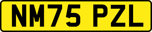NM75PZL