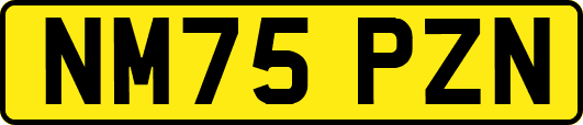 NM75PZN