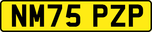 NM75PZP