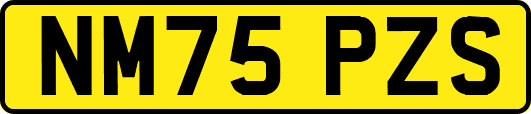 NM75PZS