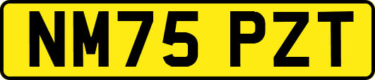NM75PZT