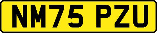 NM75PZU