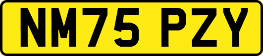 NM75PZY