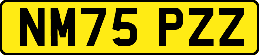 NM75PZZ