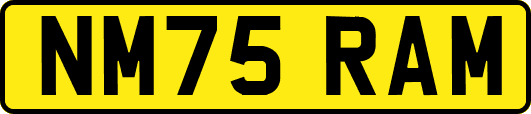 NM75RAM