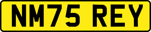 NM75REY