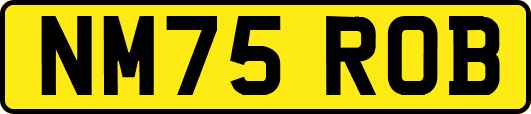 NM75ROB
