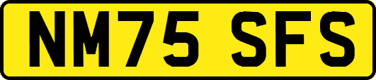NM75SFS