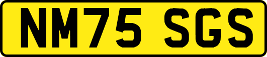 NM75SGS