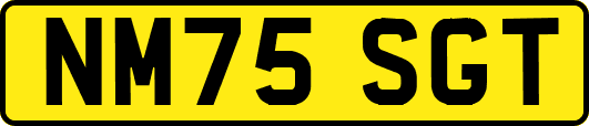 NM75SGT