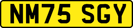 NM75SGY