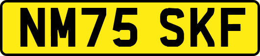 NM75SKF