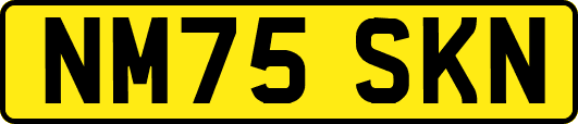 NM75SKN