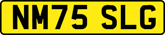 NM75SLG