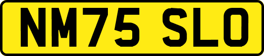 NM75SLO