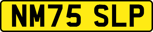 NM75SLP