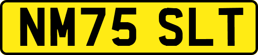 NM75SLT
