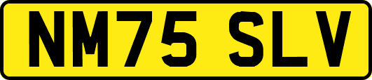 NM75SLV