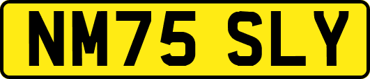 NM75SLY