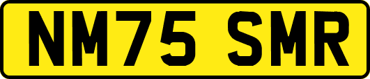 NM75SMR