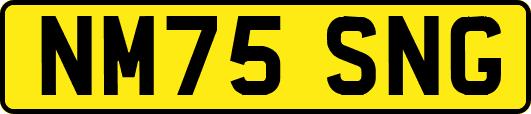 NM75SNG