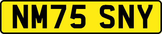 NM75SNY
