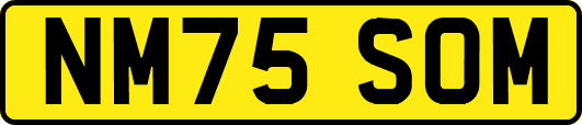 NM75SOM