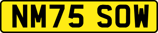 NM75SOW