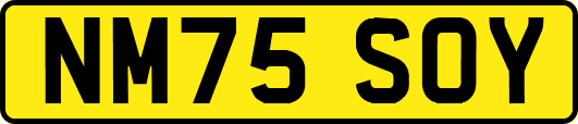 NM75SOY