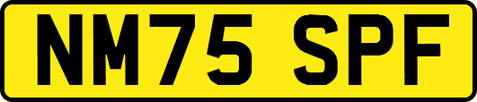 NM75SPF
