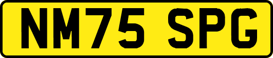 NM75SPG