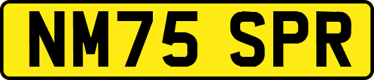 NM75SPR