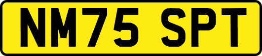 NM75SPT