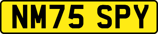 NM75SPY