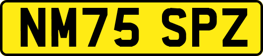 NM75SPZ