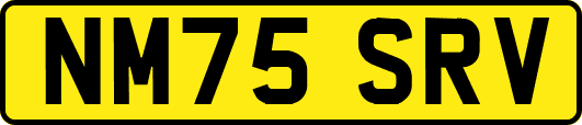 NM75SRV