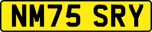 NM75SRY