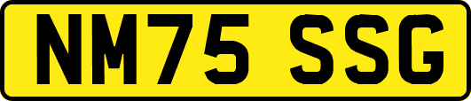 NM75SSG