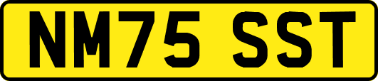 NM75SST