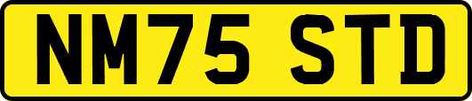 NM75STD