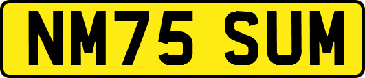 NM75SUM