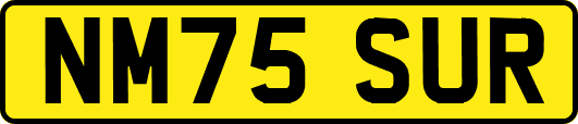 NM75SUR