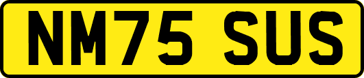 NM75SUS